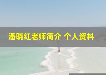 潘晓红老师简介 个人资料